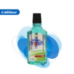 Enjuague Bucal Wholefresh Refreshmint Fco X 500 Ml